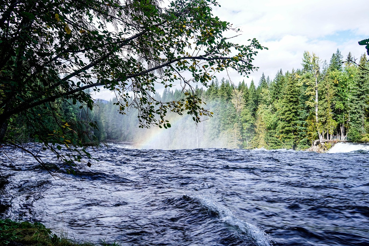 informationen zu den pfändungsfreigrenzen: alles, was sie über die gesetzlichen grenzen zur lohnpfändung wissen müssen.