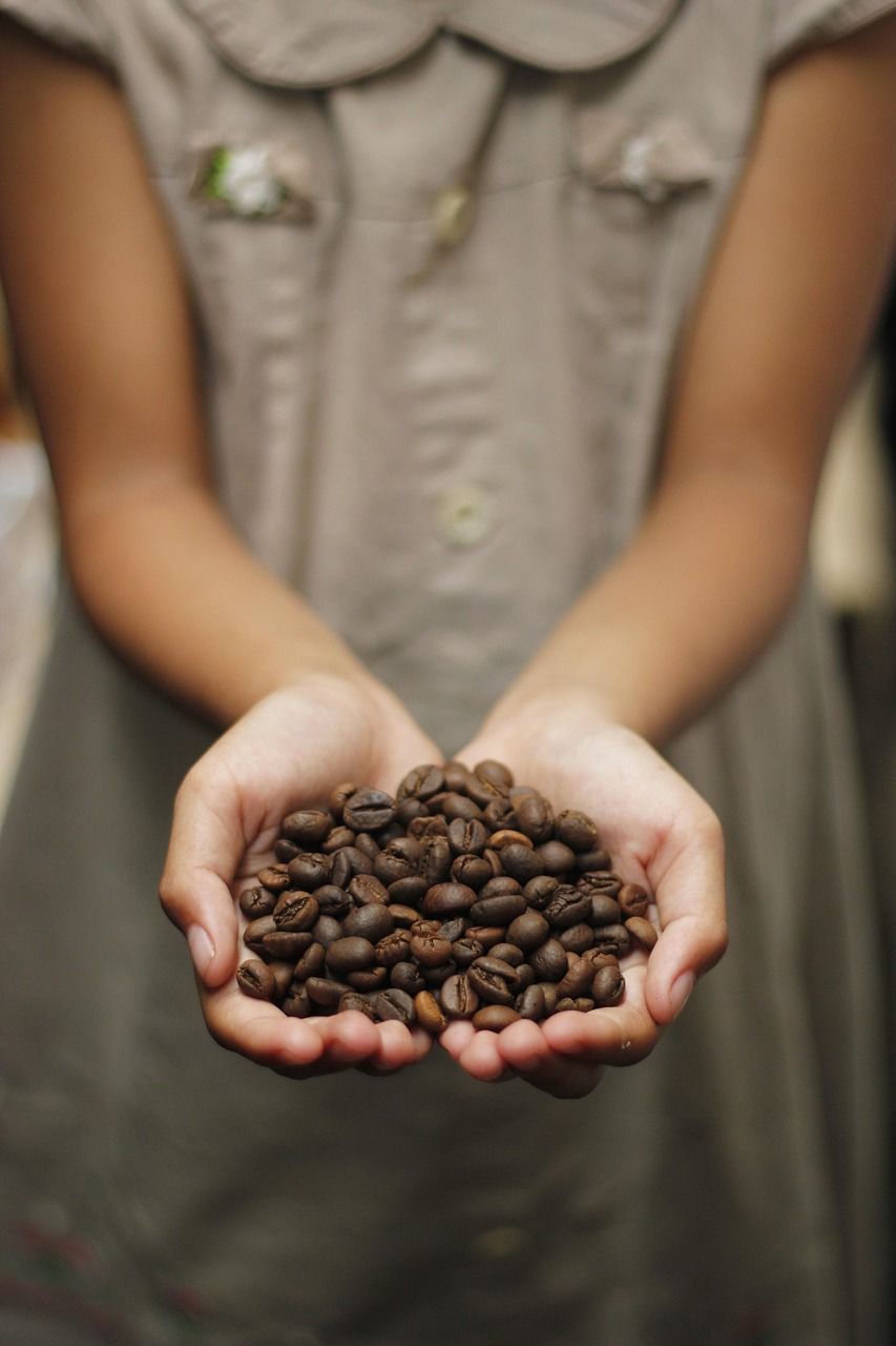 entdecken sie, wie sie mit einer french press aromatischen kaffee zubereiten können. tipps zur optimalen zubereitung, dosierung und reinigung für vollmundigen kaffeegenuss zuhause.