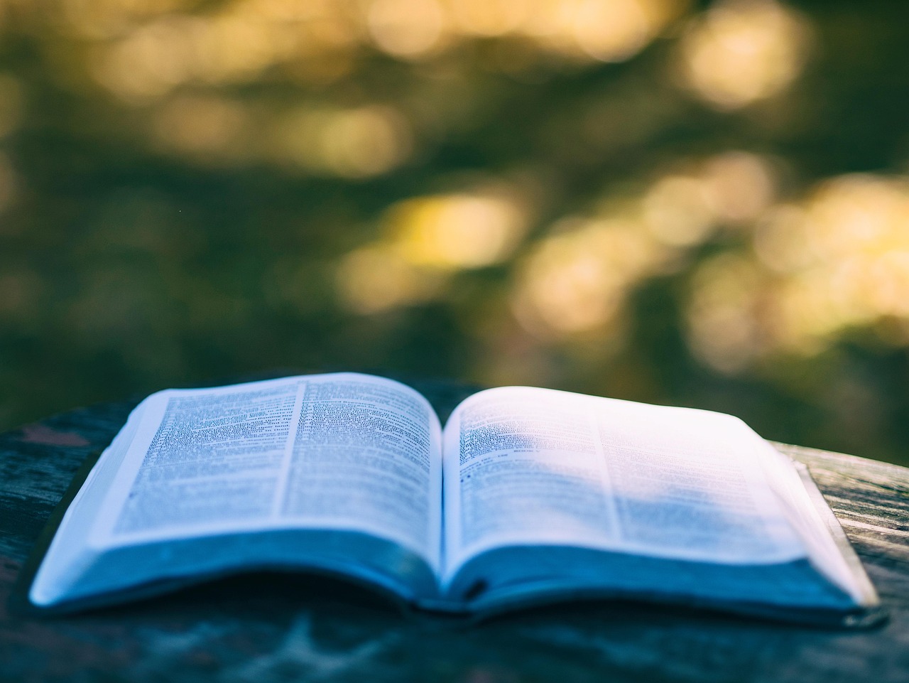 entdecken sie die besten must-read-bücher, die jeder bücherliebhaber gelesen haben sollte. von klassikern bis hin zu modernen bestsellern – diese liste bietet inspirierende lektüre für jeden geschmack.